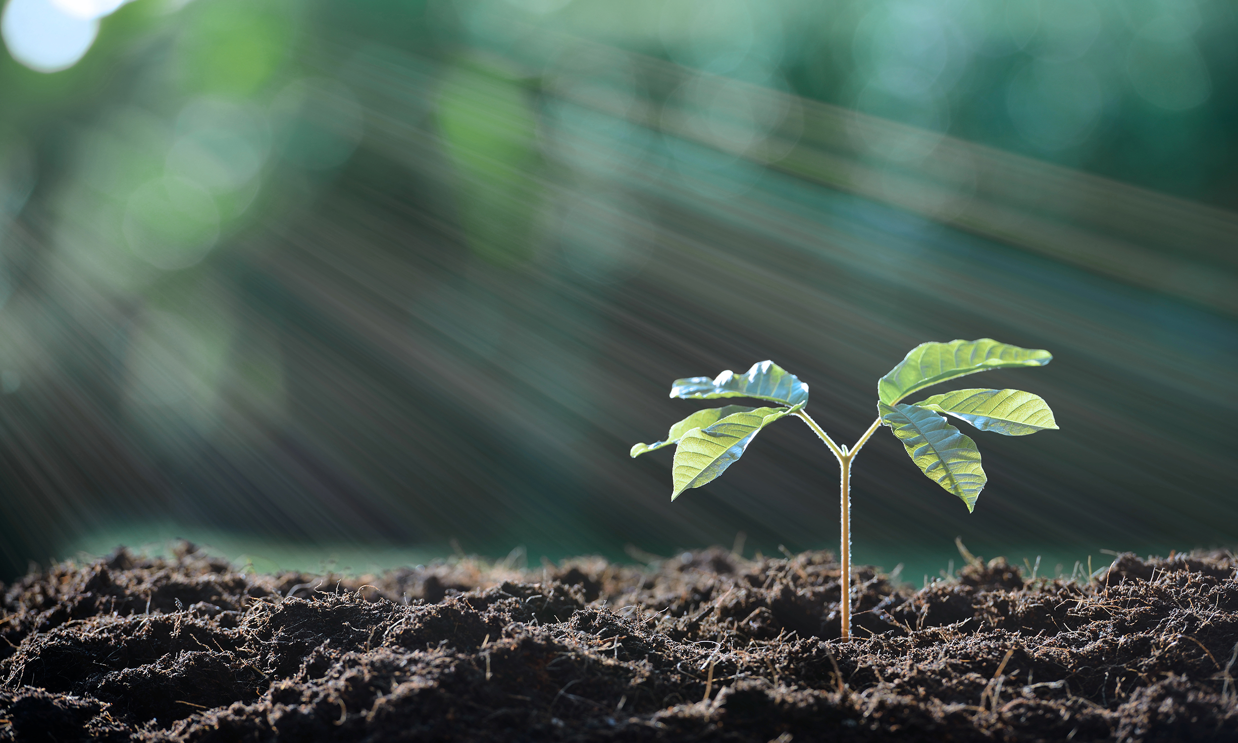 Environmental protection | Balluff