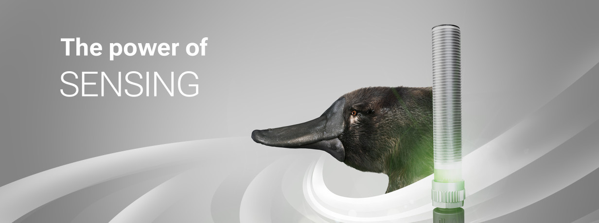 Inductive sensor and platypus
